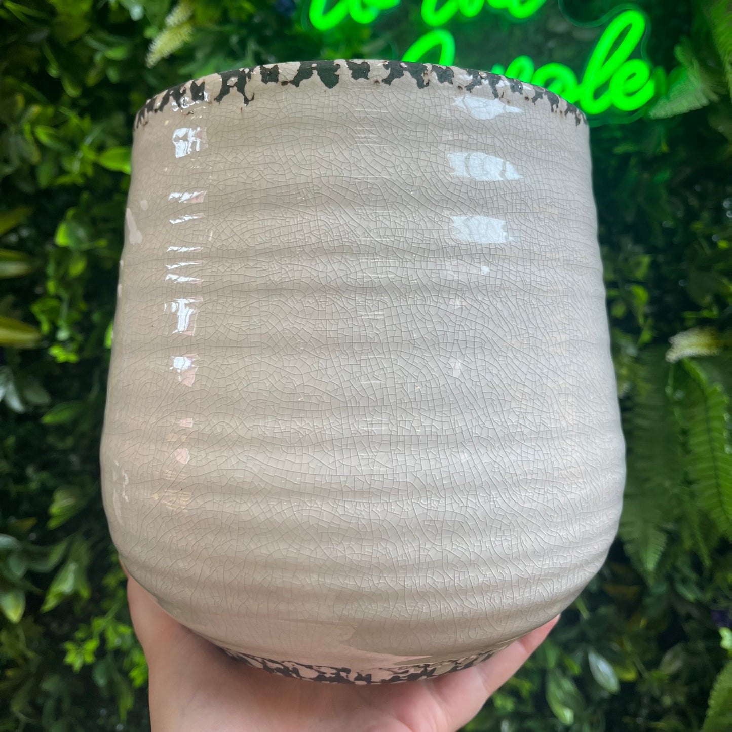 6" Brown & Beige Crackle Pot