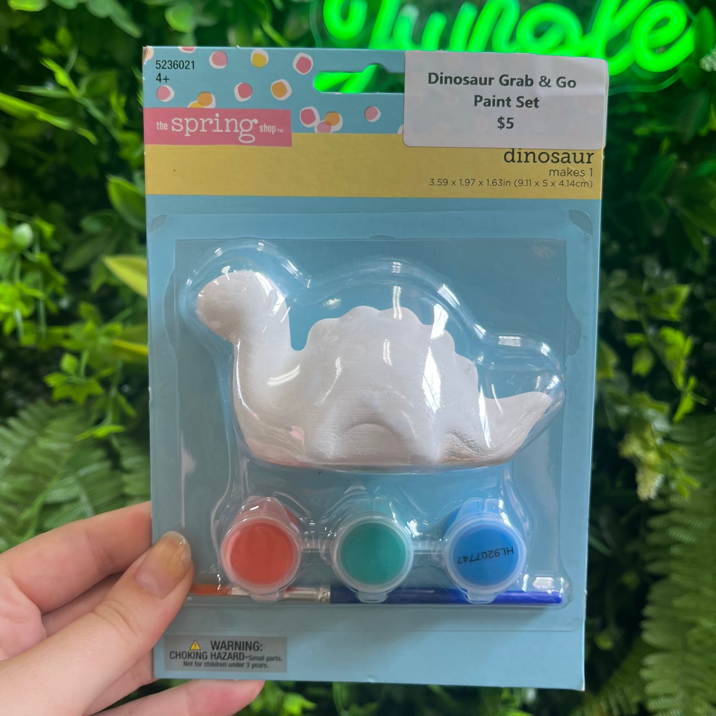 Dinosaur Grab & Go Paint Set