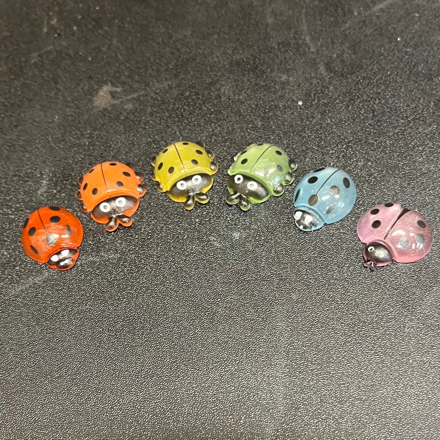 Rainbow Ladybug Trinket