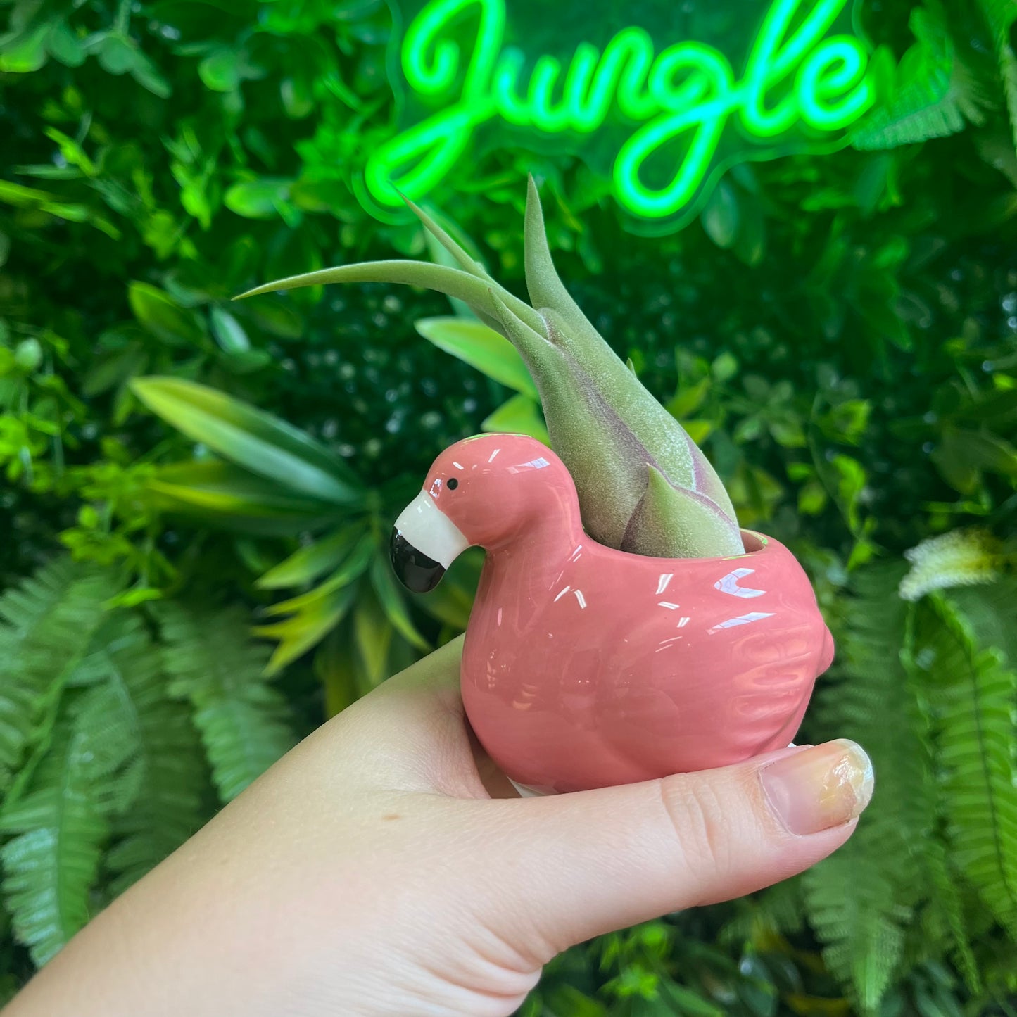 Flamingo Air Plant Holder