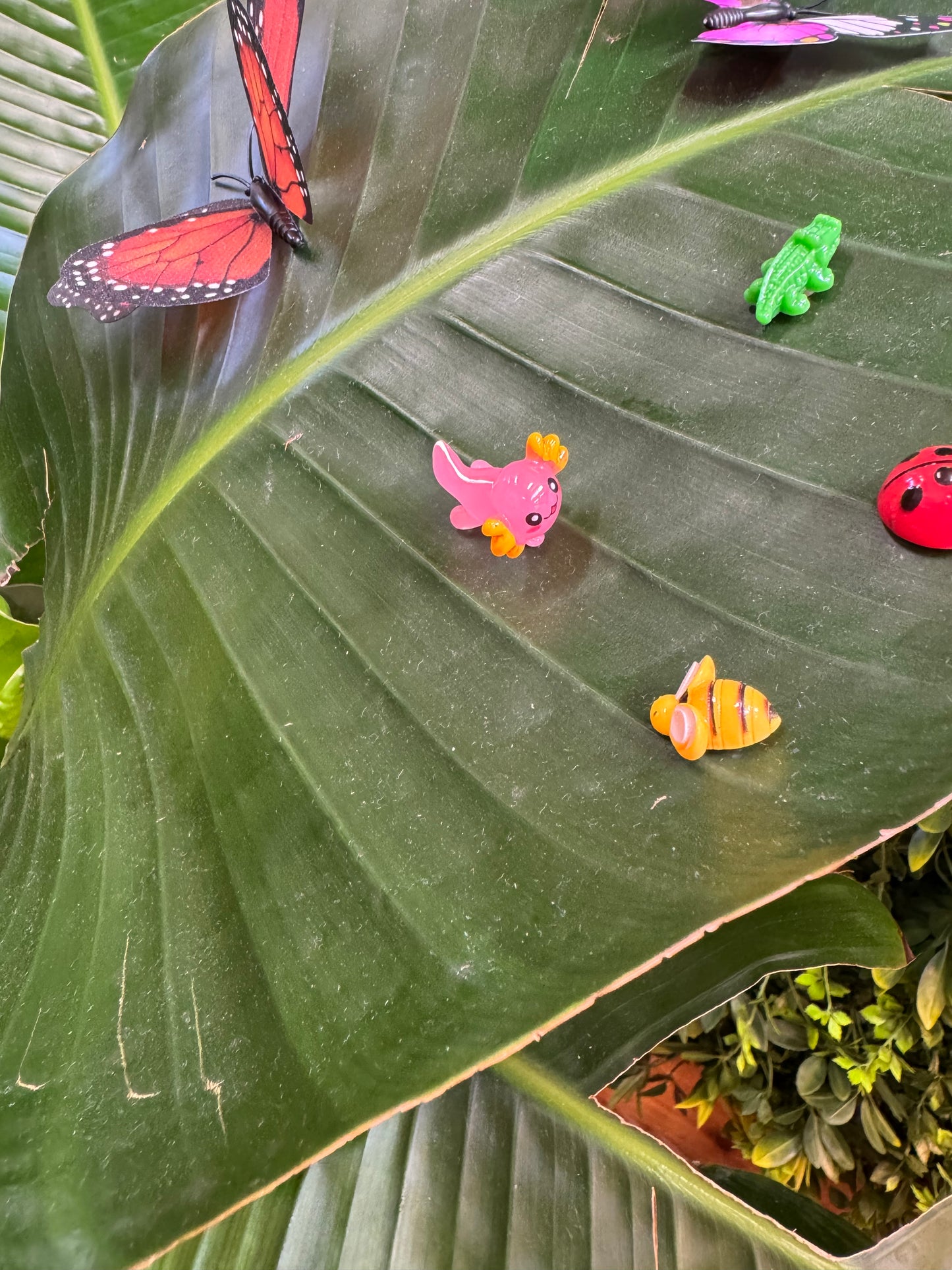 Glow In The Dark Axolotl Plant Magnet - Assorted Colors