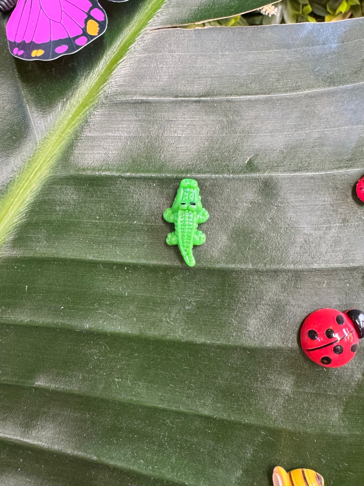 Crocodile Magnet