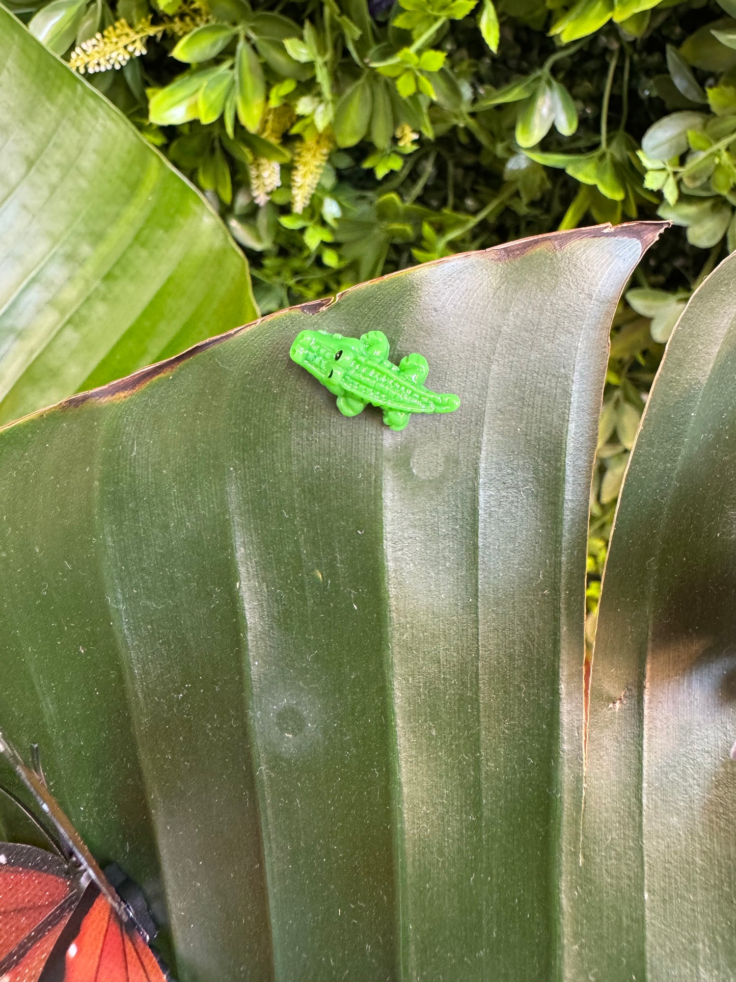 Crocodile Magnet