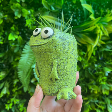Orville the Frog - Blobhouse Planter
