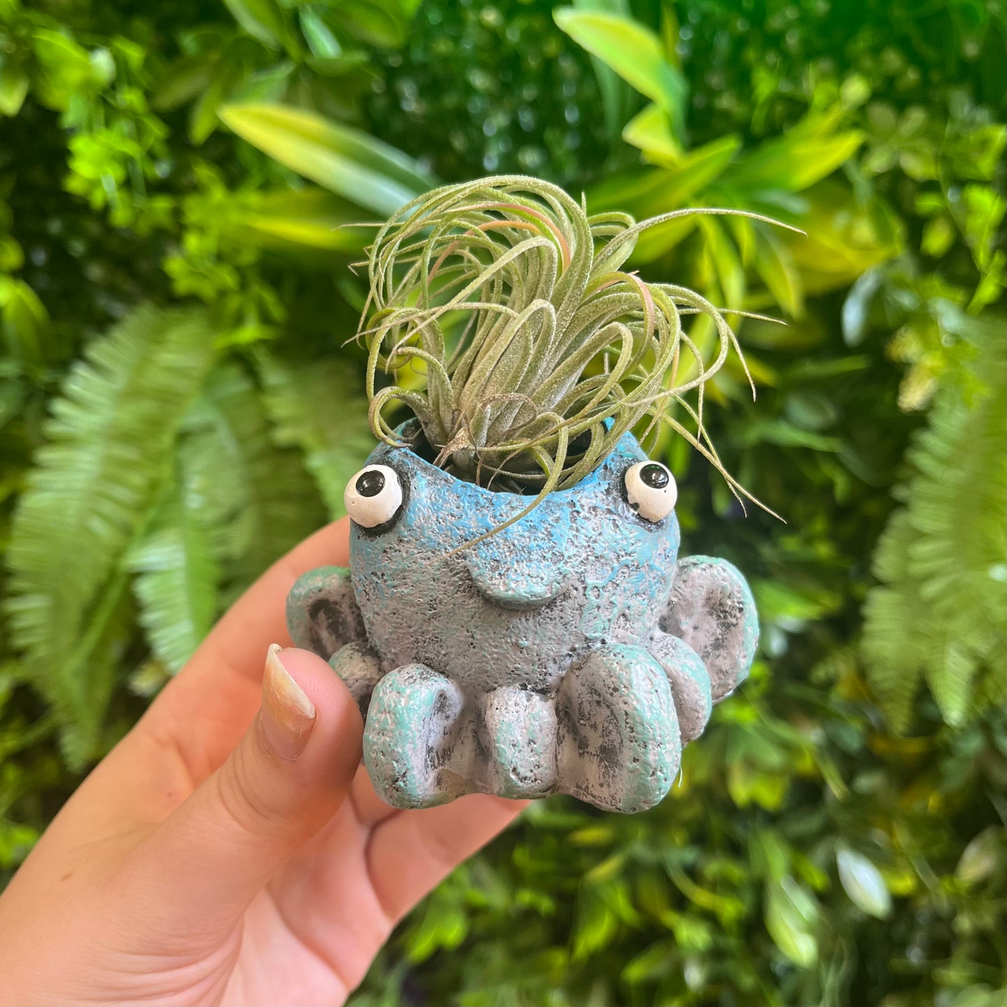 Inky the Octopus - Mini Blobhouse Planter