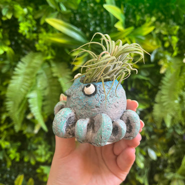 Inky the Octopus - Mini Blobhouse Planter
