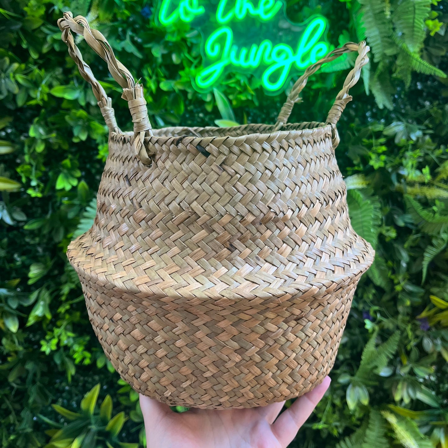 Small Woven Seagrass Basket 6.7" Opening