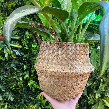 Small Woven Seagrass Basket 6.7" Opening