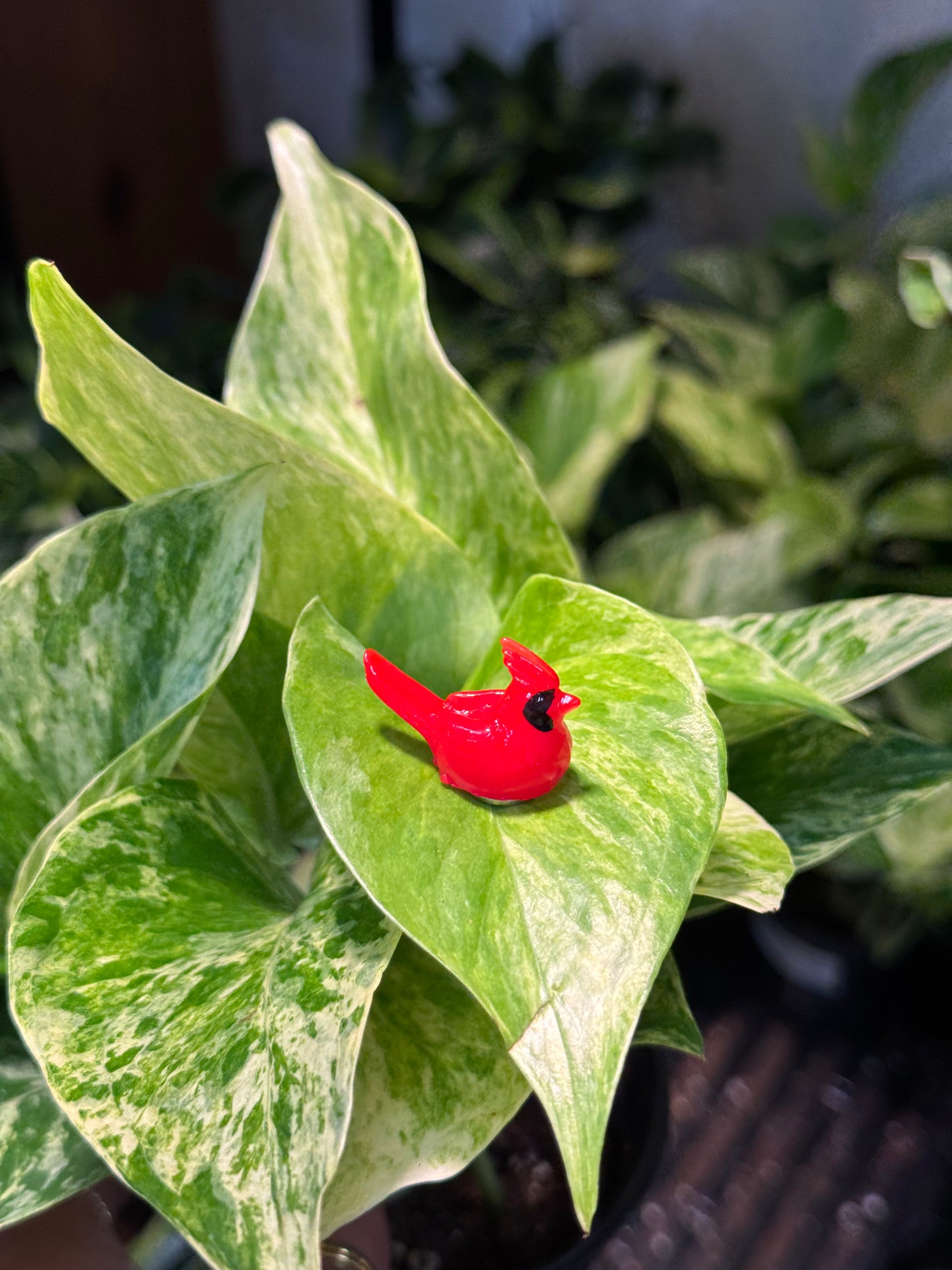 Red Cardinal Plant Magnet