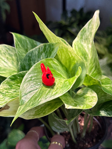 Red Cardinal Plant Magnet