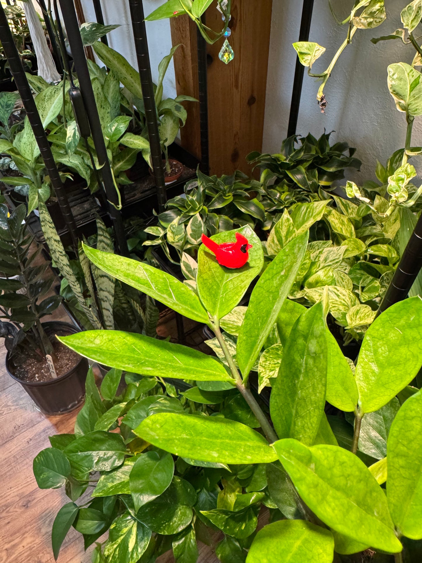 Red Cardinal Plant Magnet