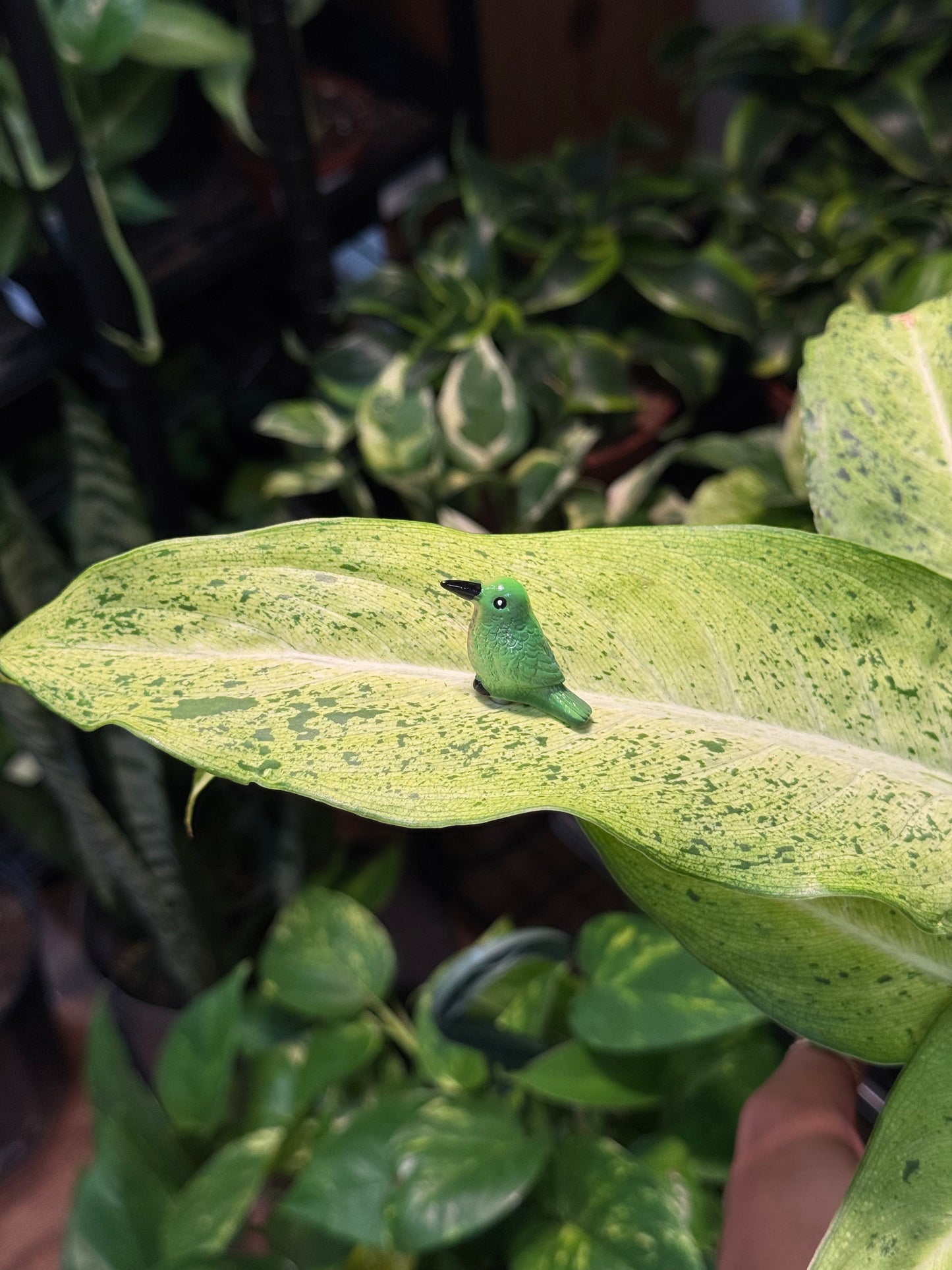 Green & Red Ruby-Throated Hummingbird Plant Magnet