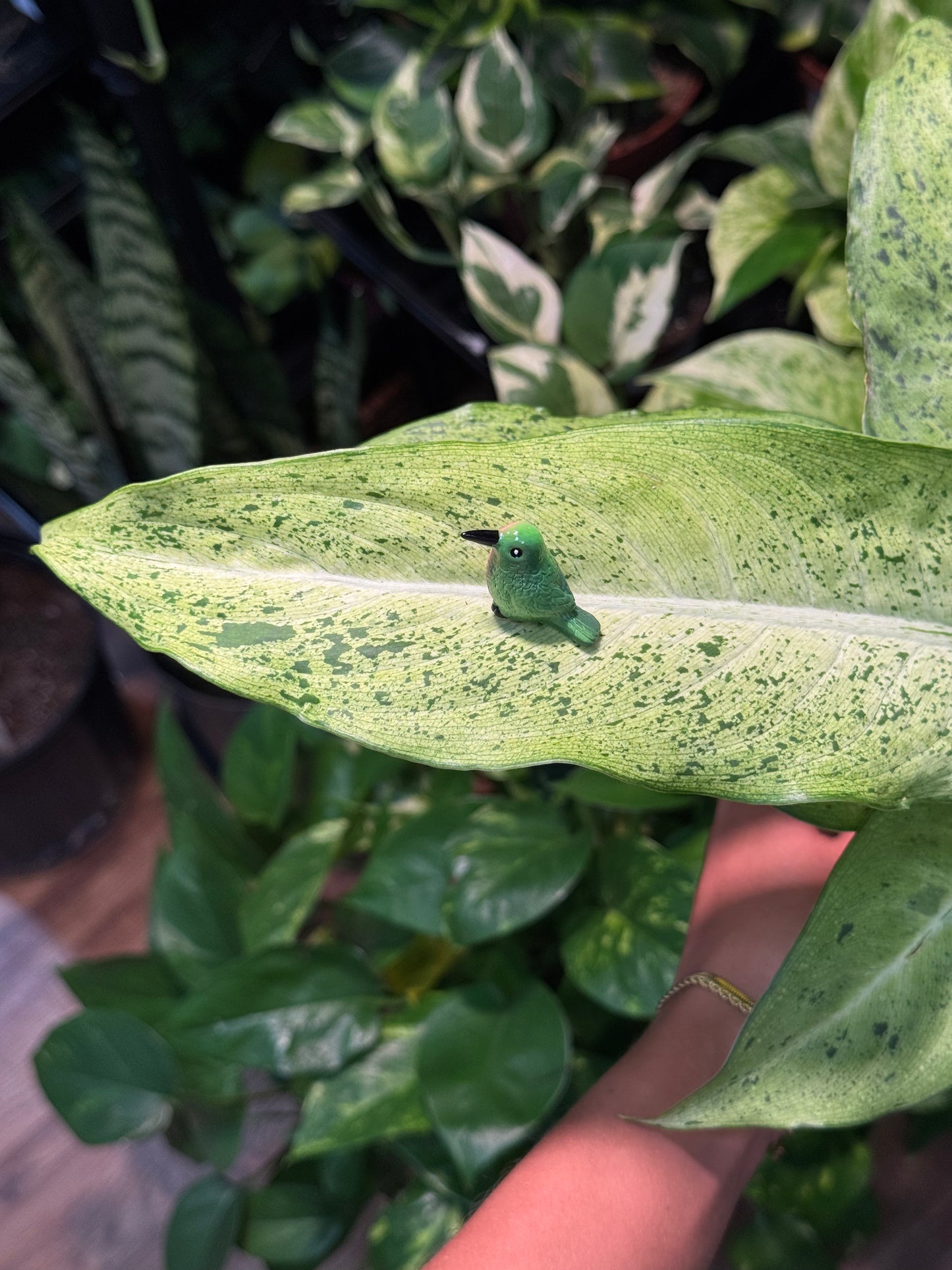 Green & Red Ruby-Throated Hummingbird Plant Magnet