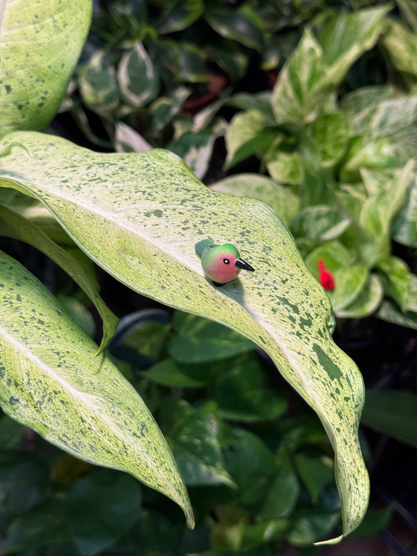 Green & Red Ruby-Throated Hummingbird Plant Magnet