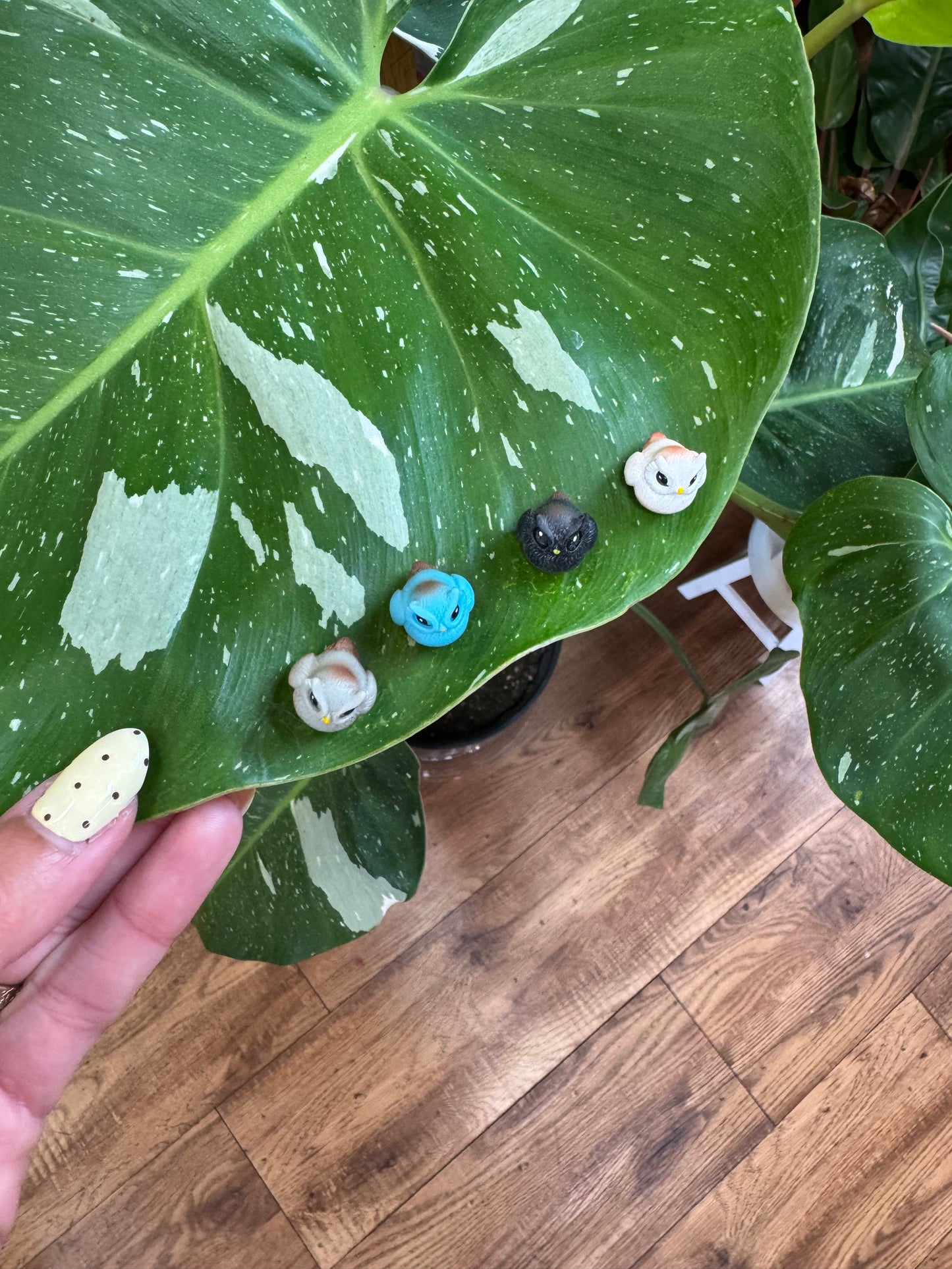 Owl Plant Magnet - Assorted Colors