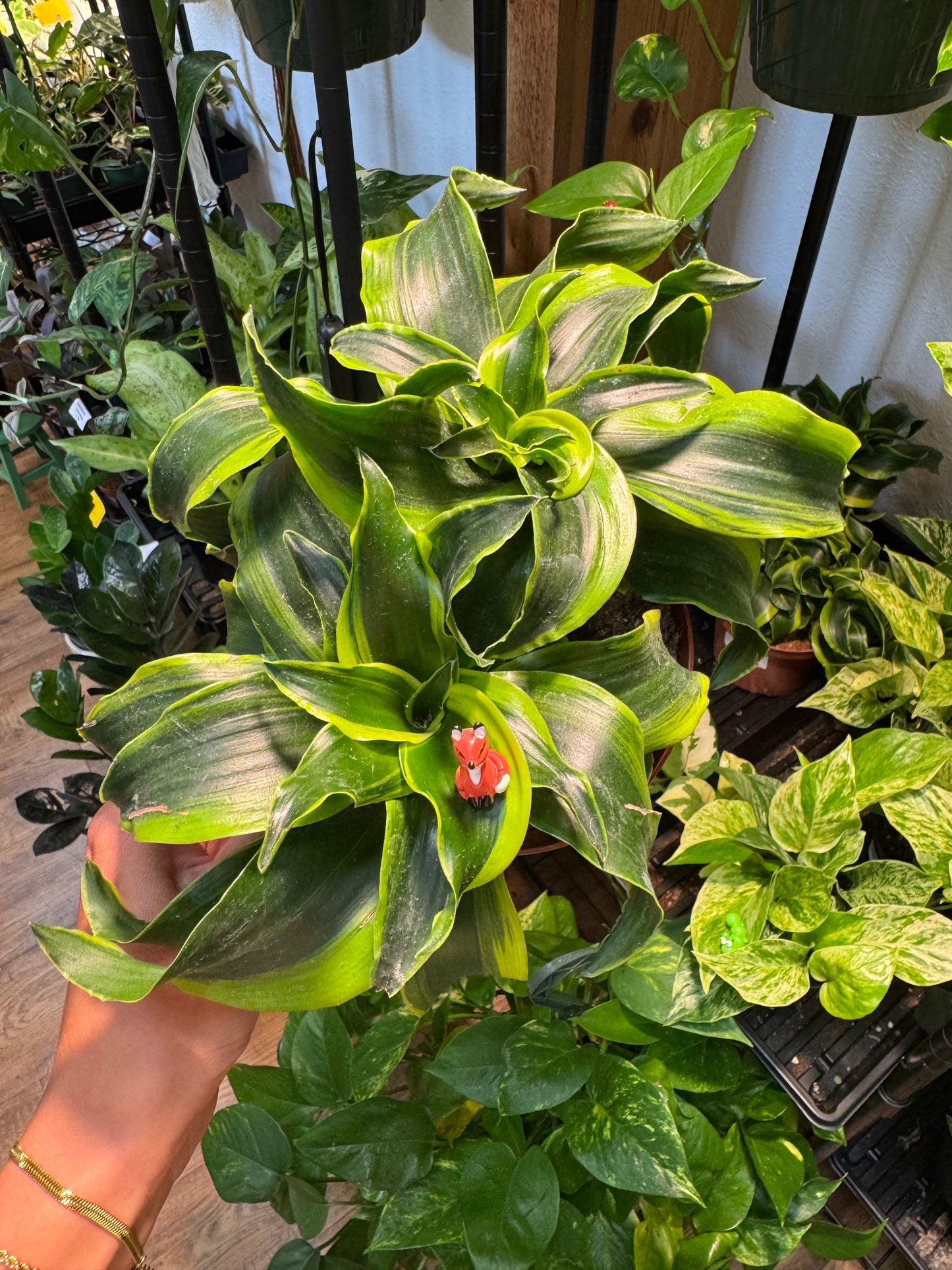 Alert Sitting Fox Plant Magnet