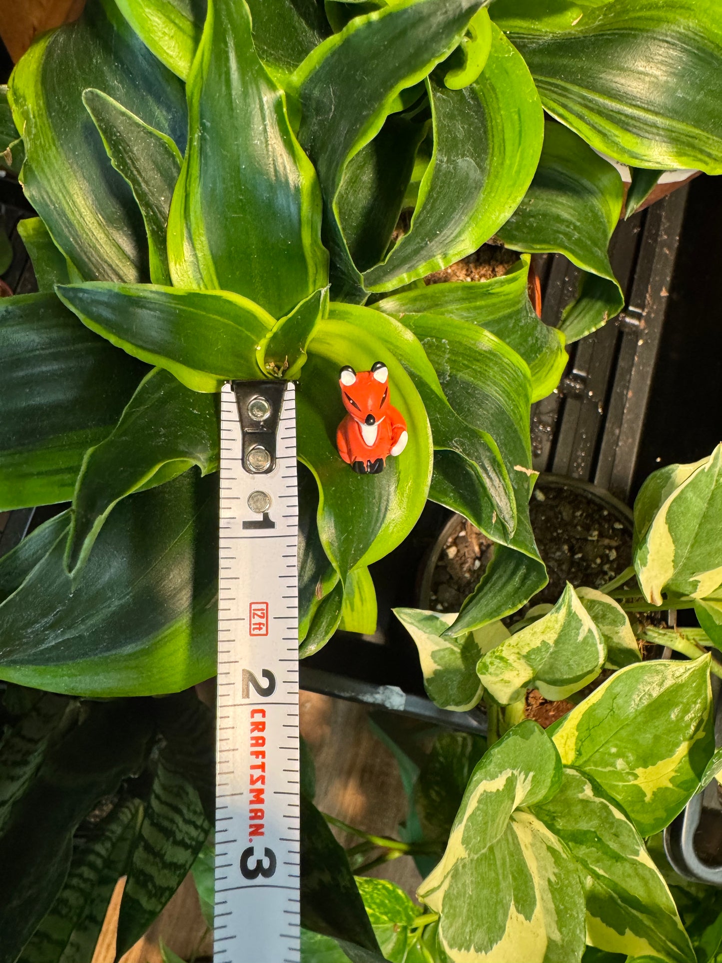Alert Sitting Fox Plant Magnet