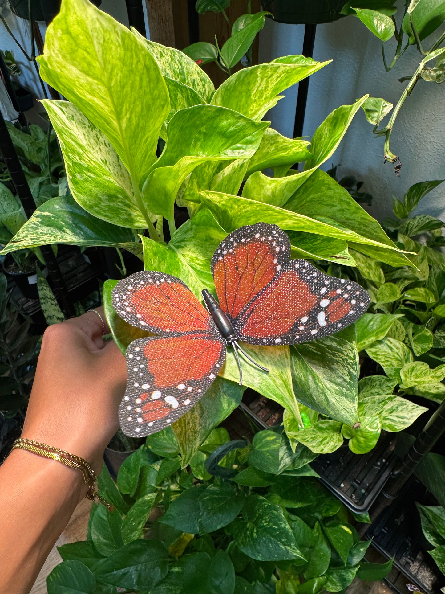 Life-Like Monarch Butterfly Plant Magnet Or Screen Magnet