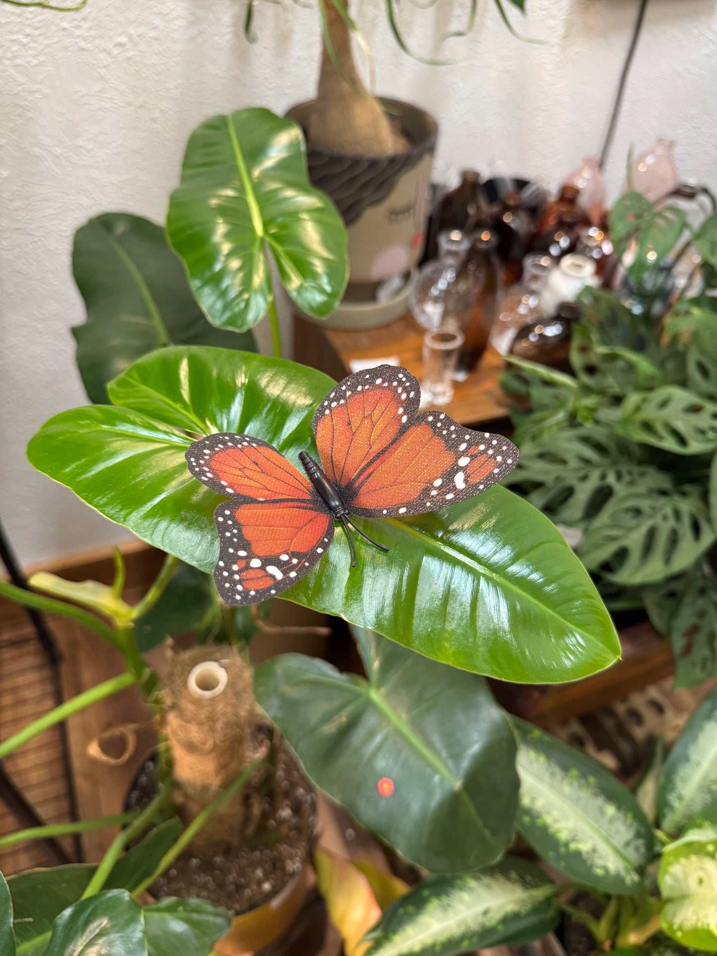 Life-Like Monarch Butterfly Plant Magnet Or Screen Magnet