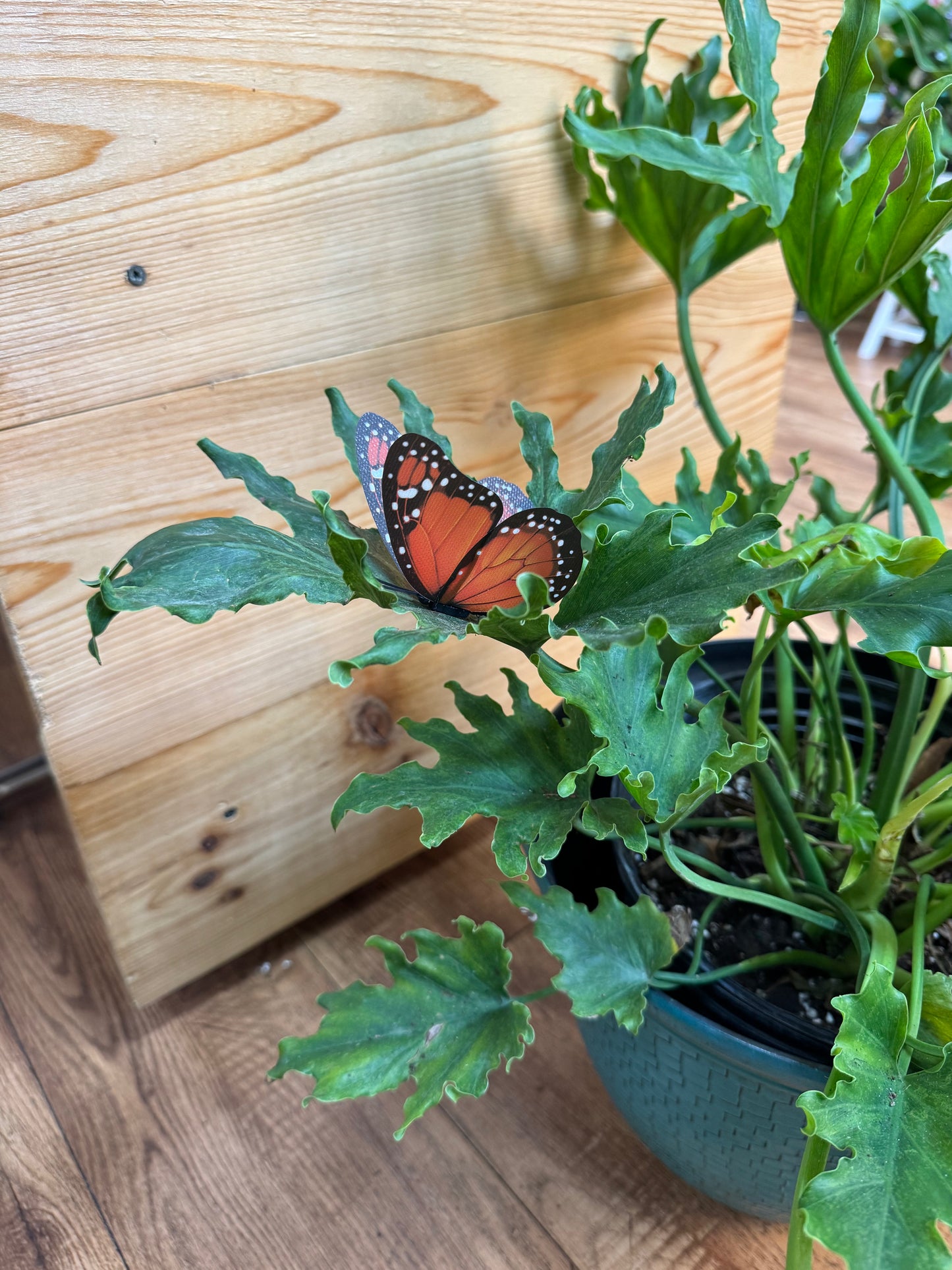 Life-Like Monarch Butterfly Plant Magnet Or Screen Magnet