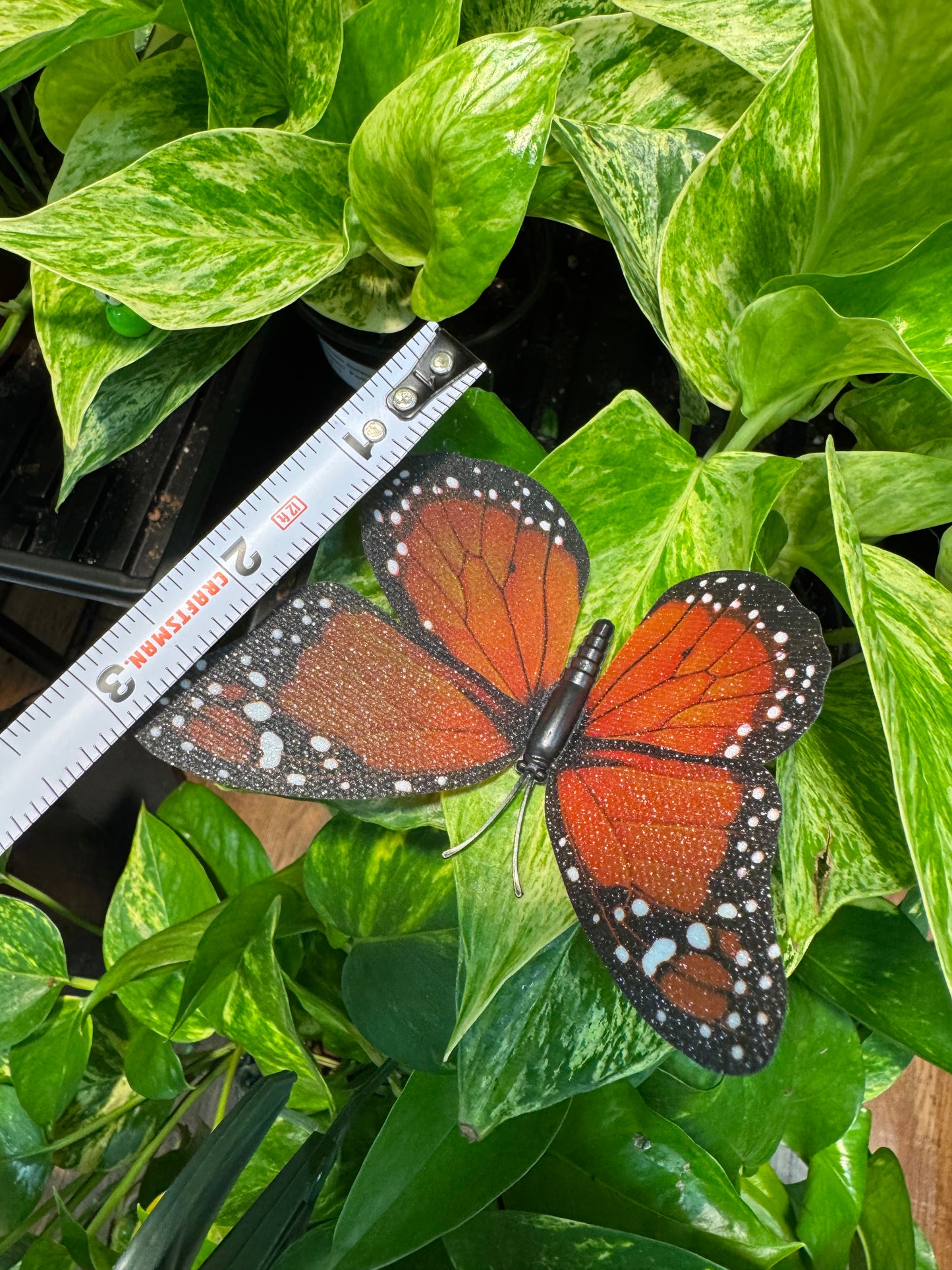 Life-Like Monarch Butterfly Plant Magnet Or Screen Magnet
