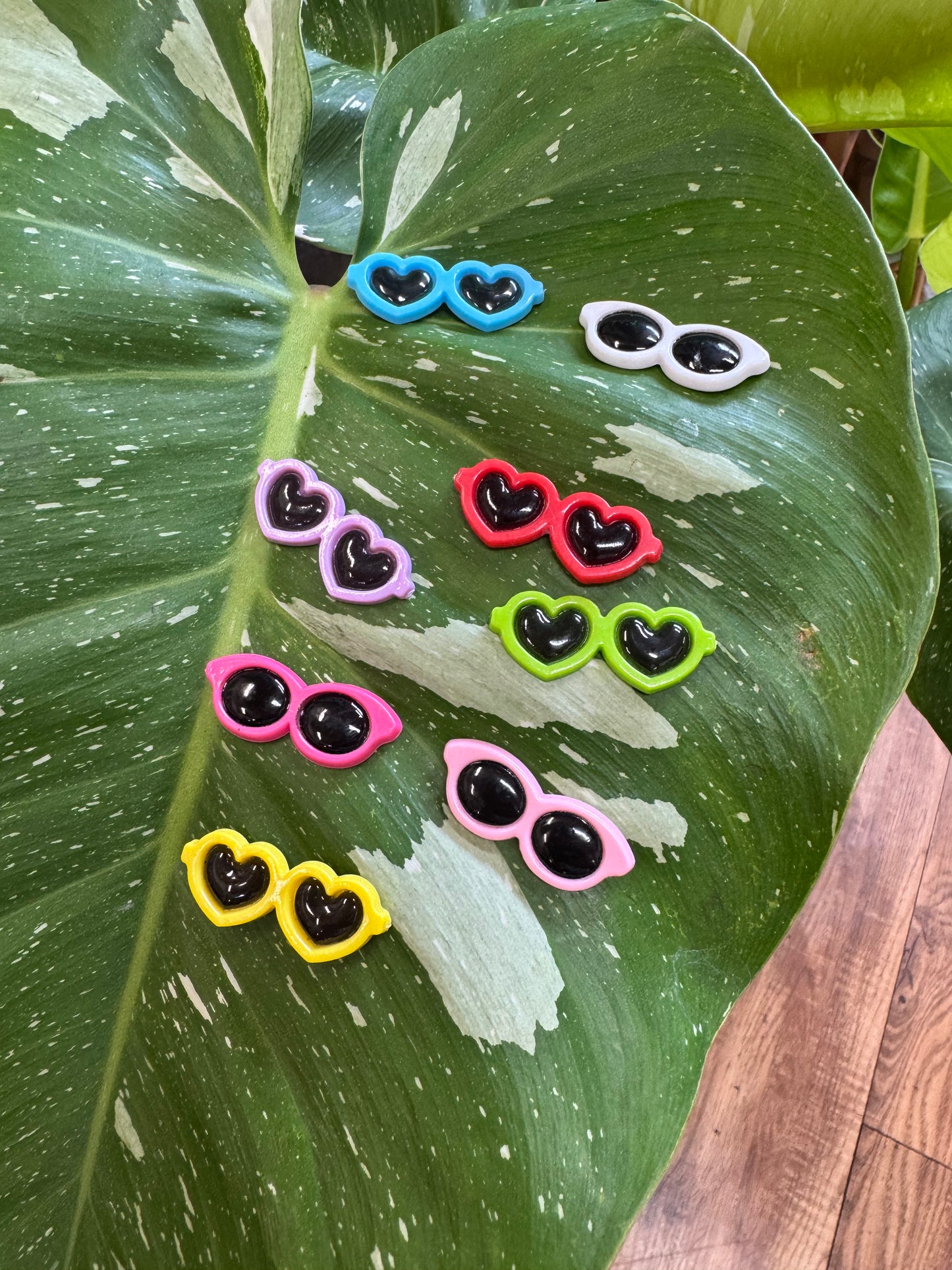 Sunglasses Plant Magnet - Assorted Colors