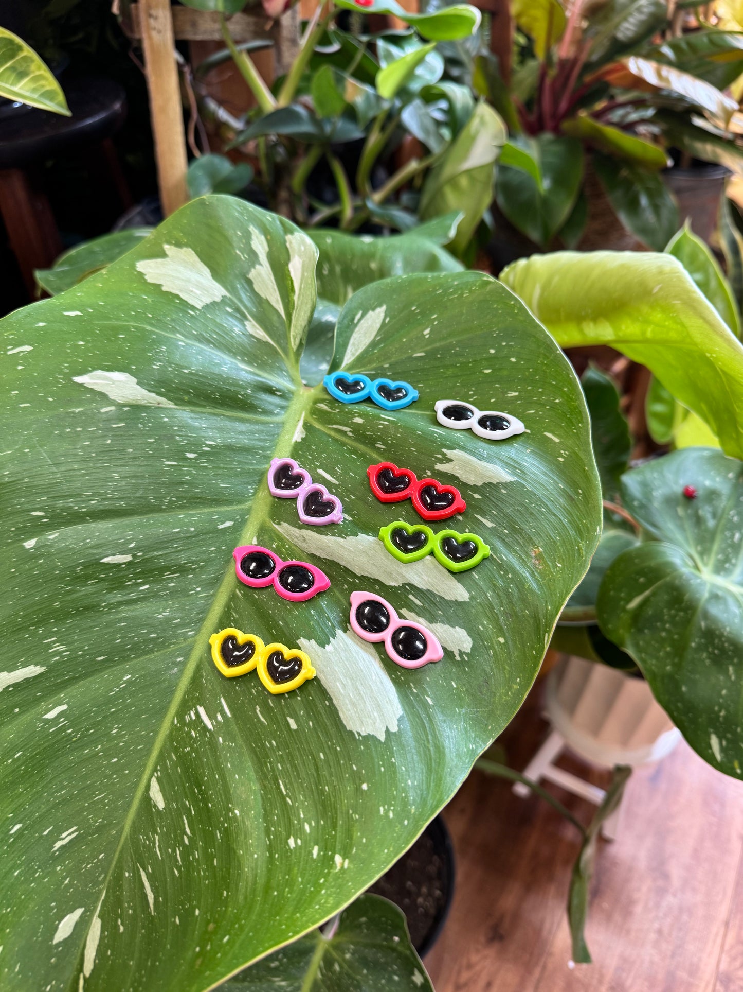 Sunglasses Plant Magnet - Assorted Colors