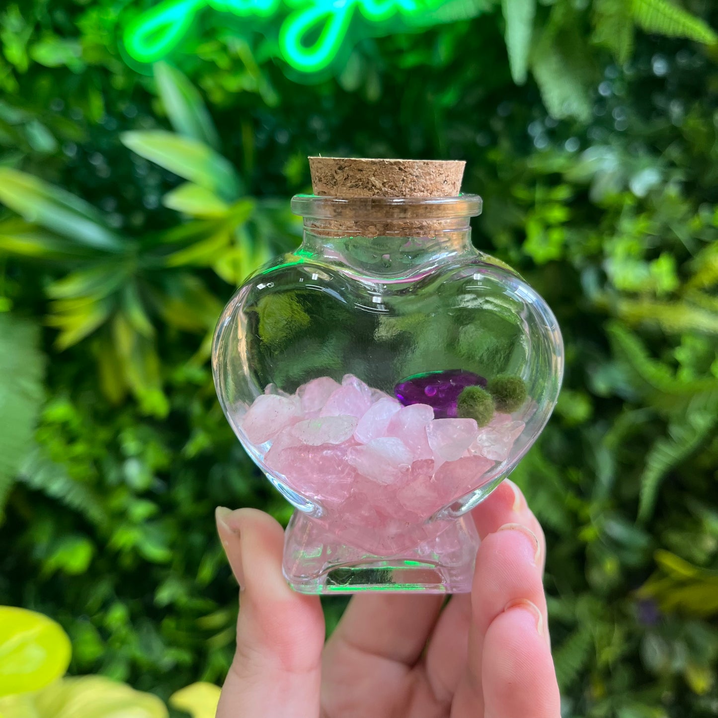 Moss Ball Desk Pets - Make Your Own Aquatic Terrarium! Walk Ups Welcome!
