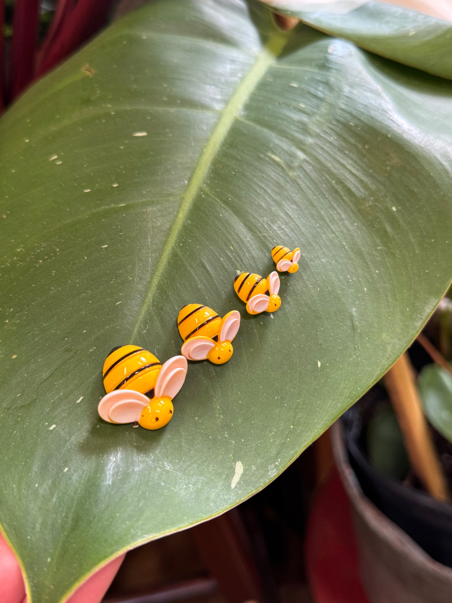 Bee Plant Magnet - Assorted Sizes