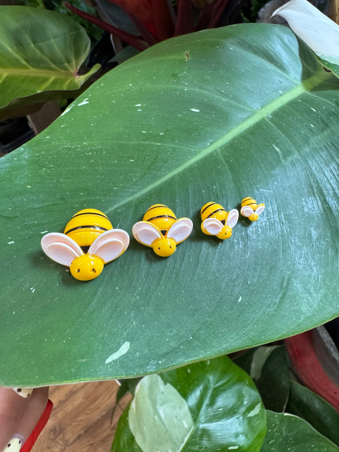 Bee Plant Magnet - Assorted Sizes
