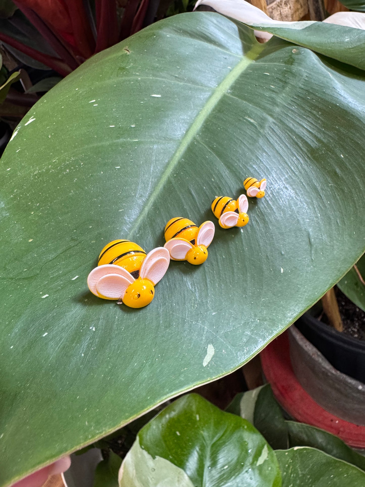 Bee Plant Magnet - Assorted Sizes