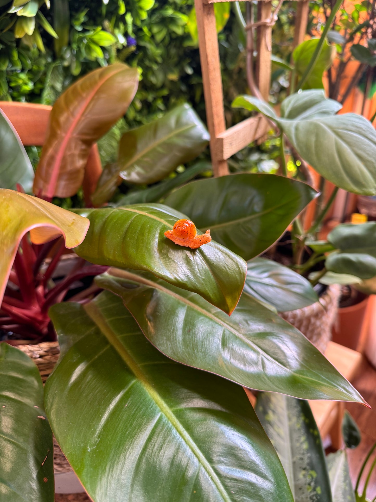 Brown Life Like Snail Plant Magnet