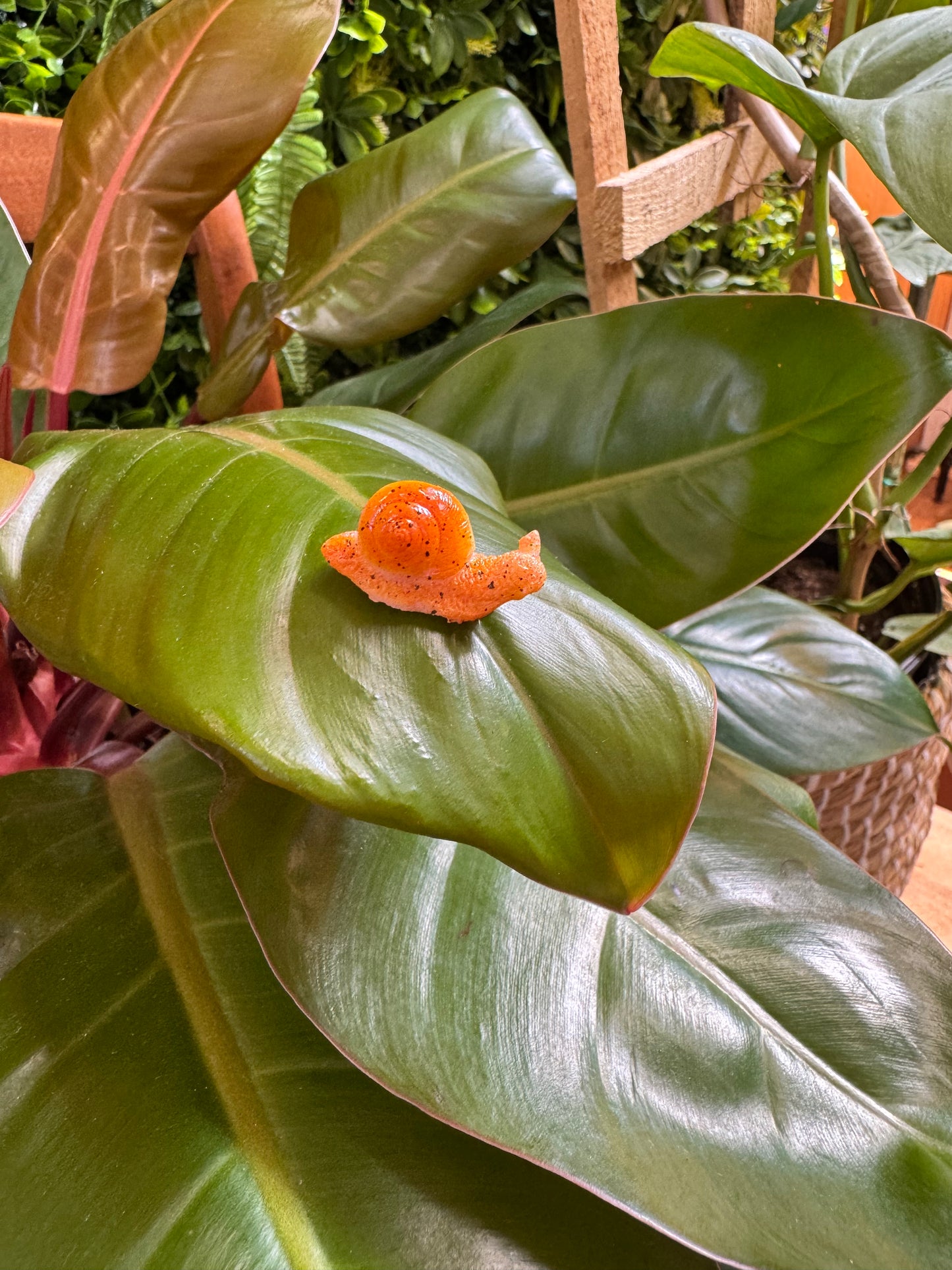 Brown Life Like Snail Plant Magnet