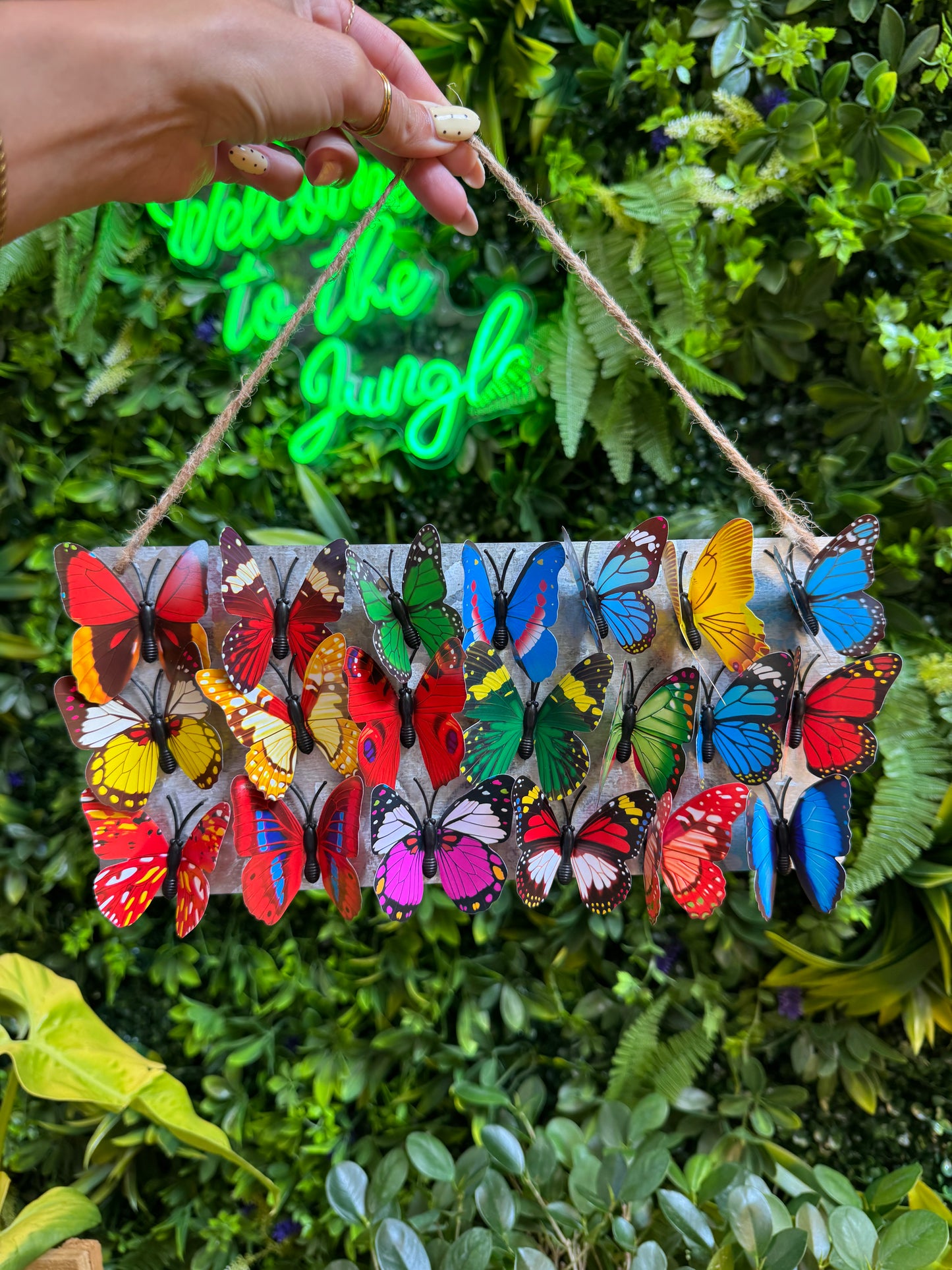 Medium 3D Butterfly Plant Magnet - Assorted Colors