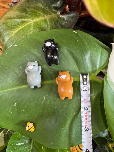 Lazy Sleeping Cat Plant Magnet - Assorted Colors