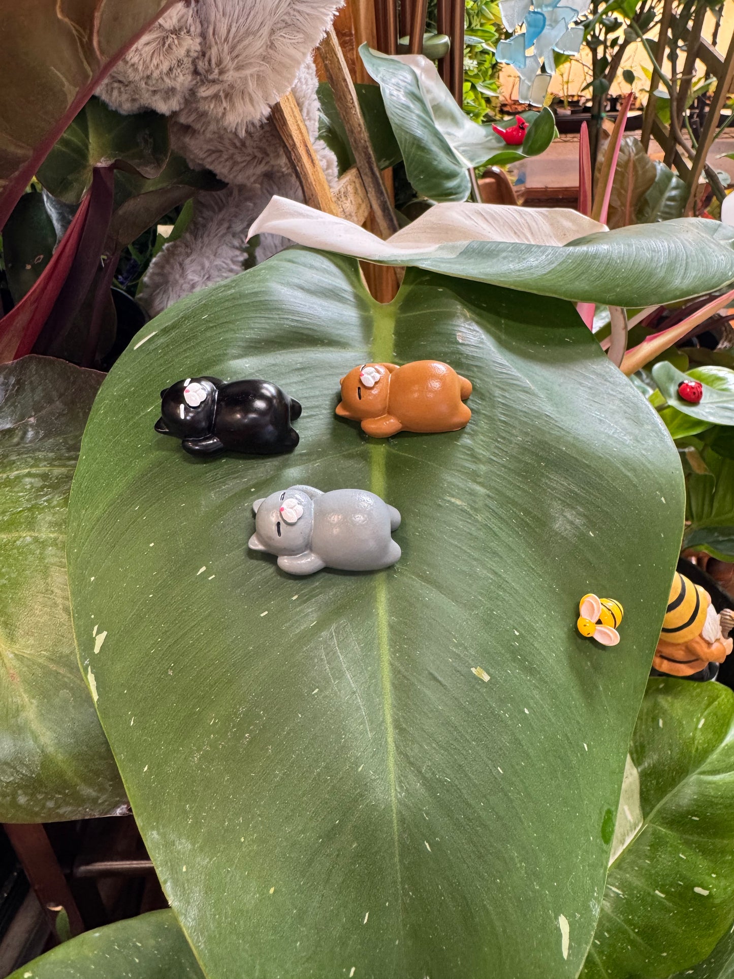 Lazy Sleeping Cat Plant Magnet - Assorted Colors