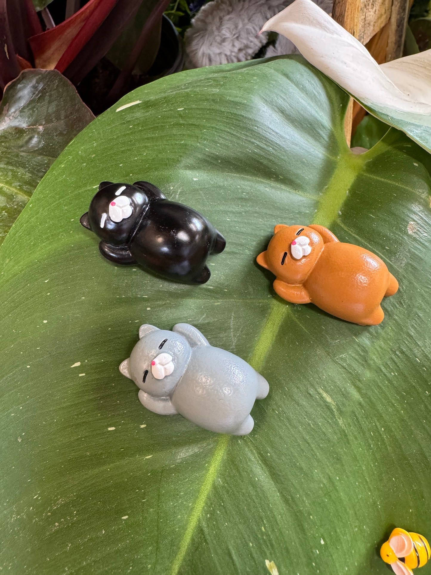Lazy Sleeping Cat Plant Magnet - Assorted Colors