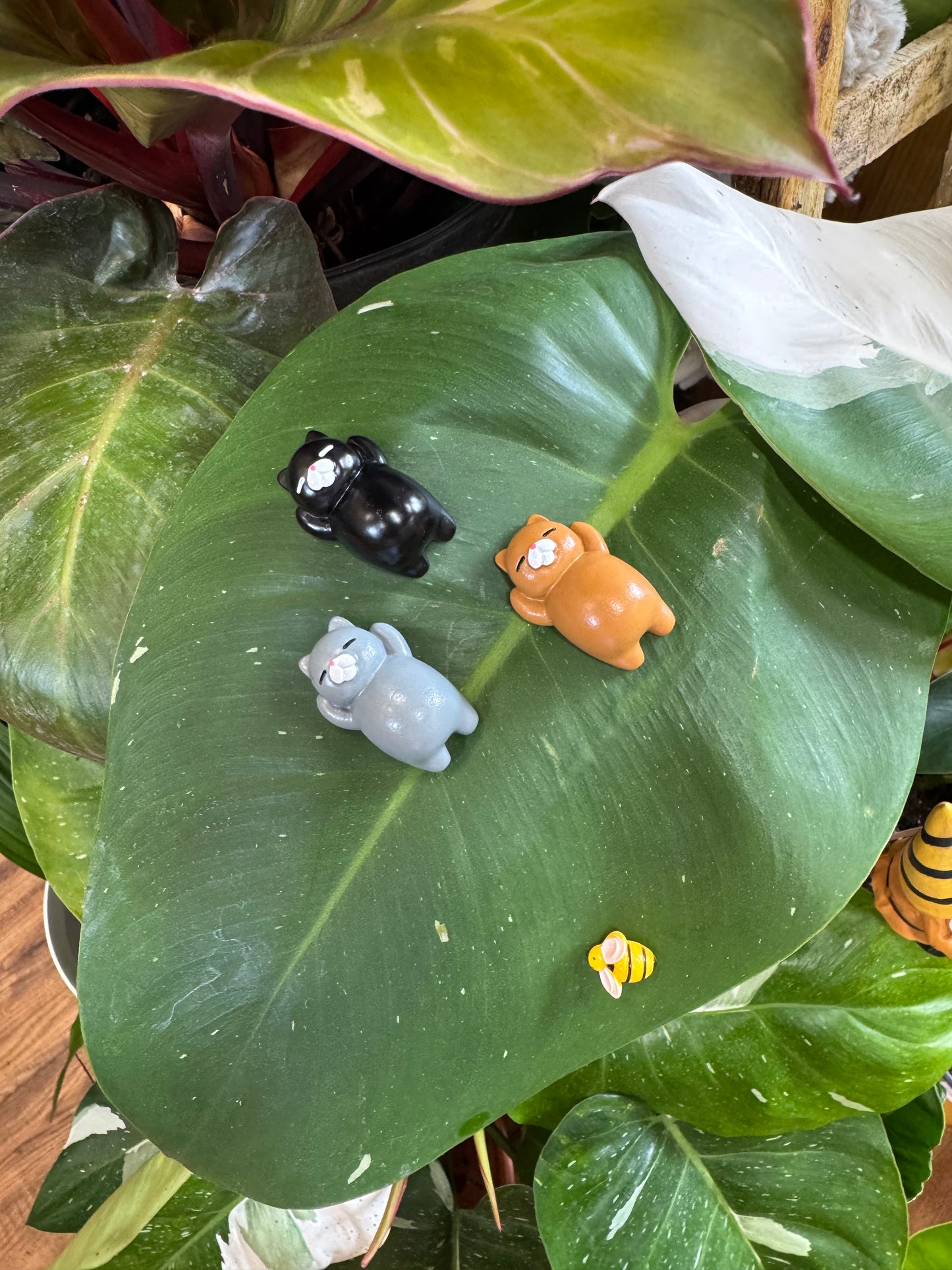 Lazy Sleeping Cat Plant Magnet - Assorted Colors