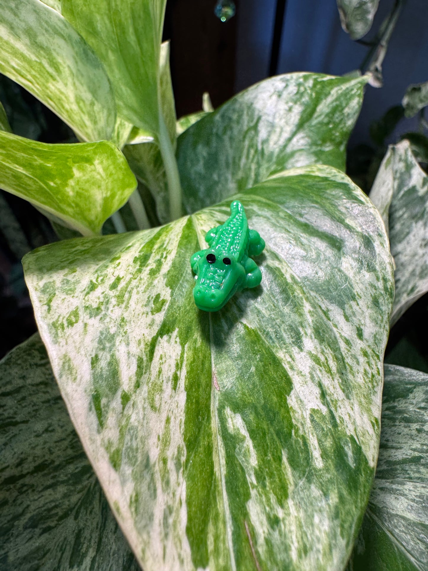 Green Alligator or Crocodile Plant Magnet