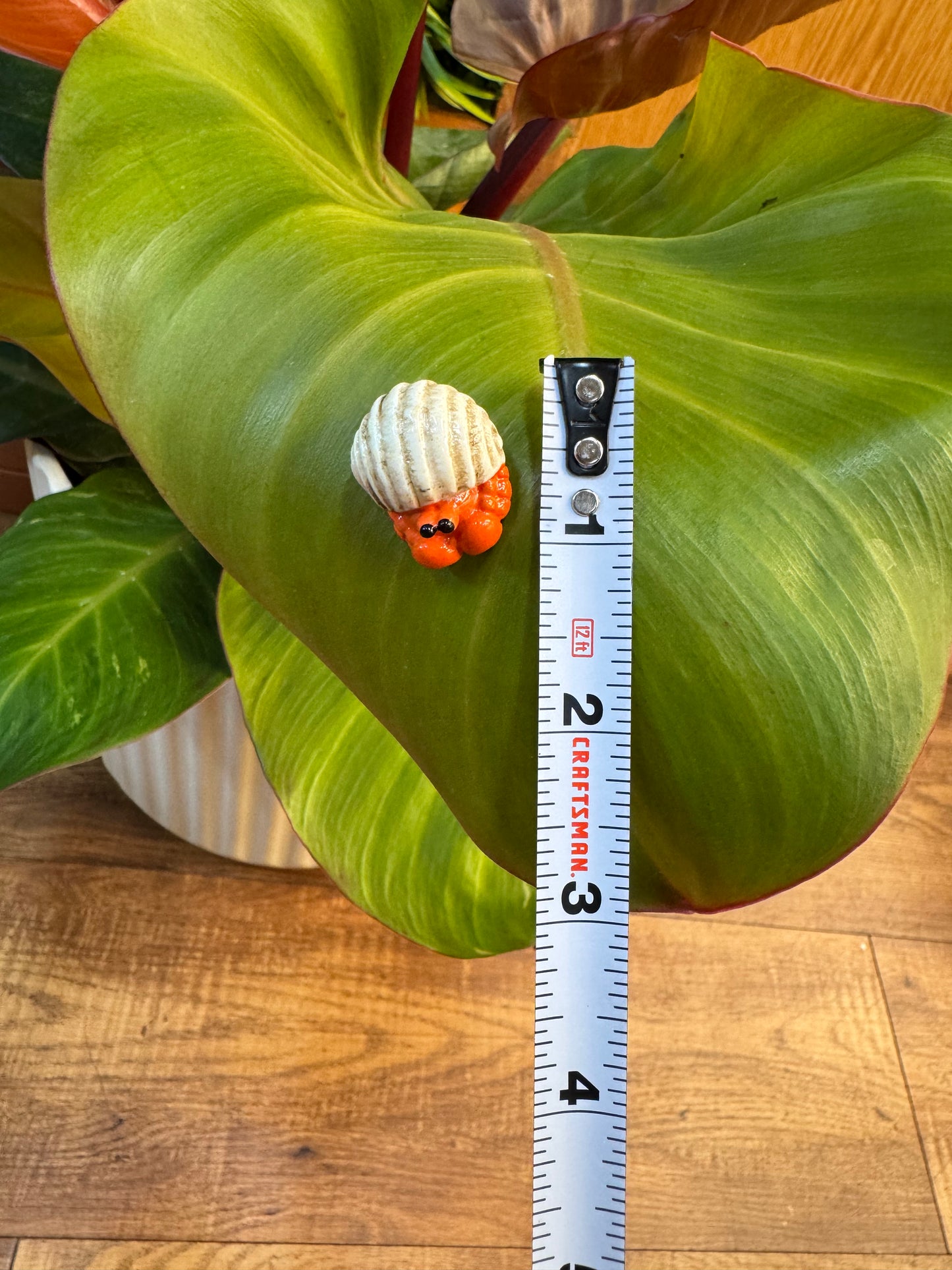 Orange Hermit Crab With Shell Plant Magnet