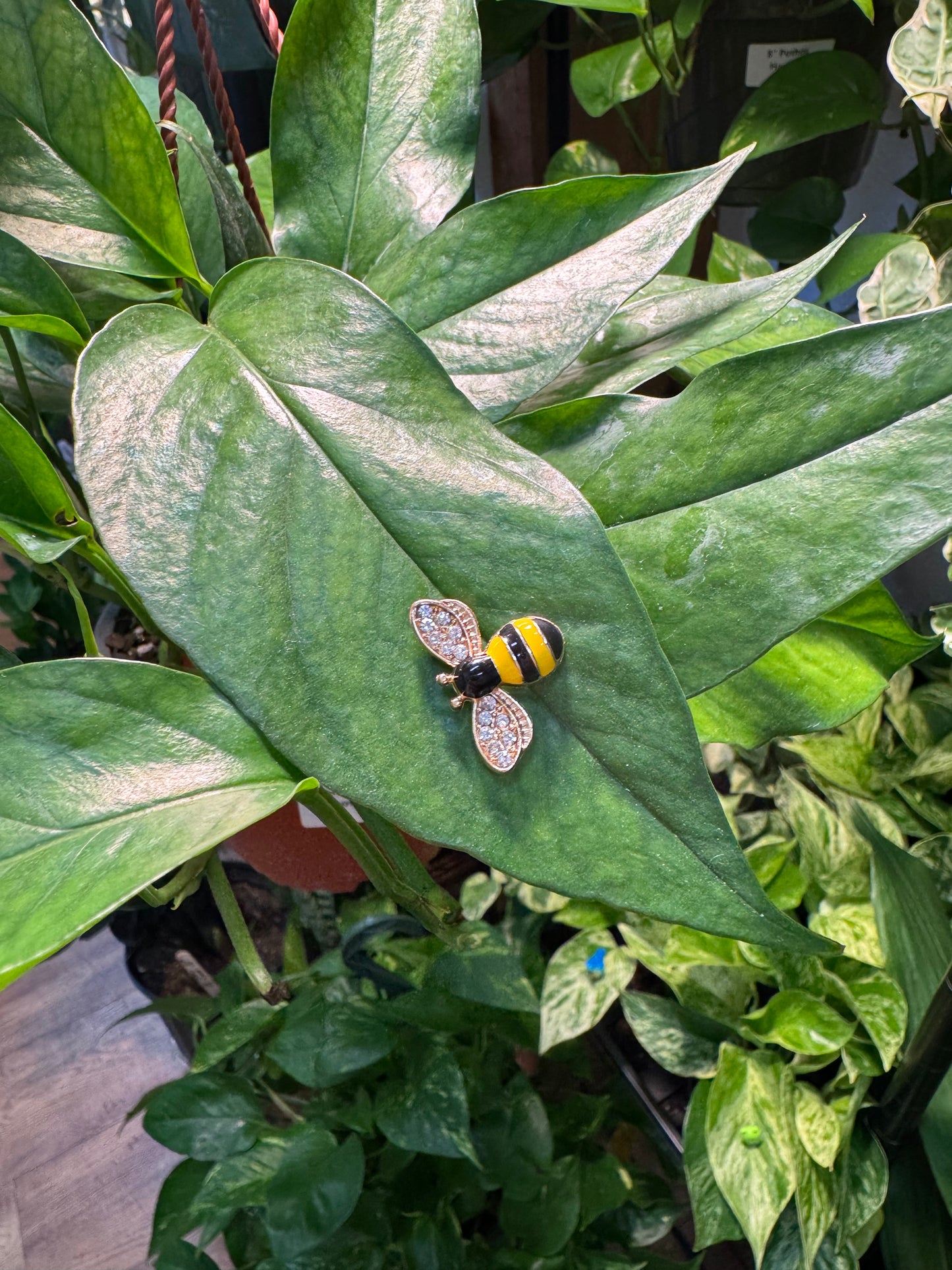 Fancy Rhinestone Bee Plant Magnet