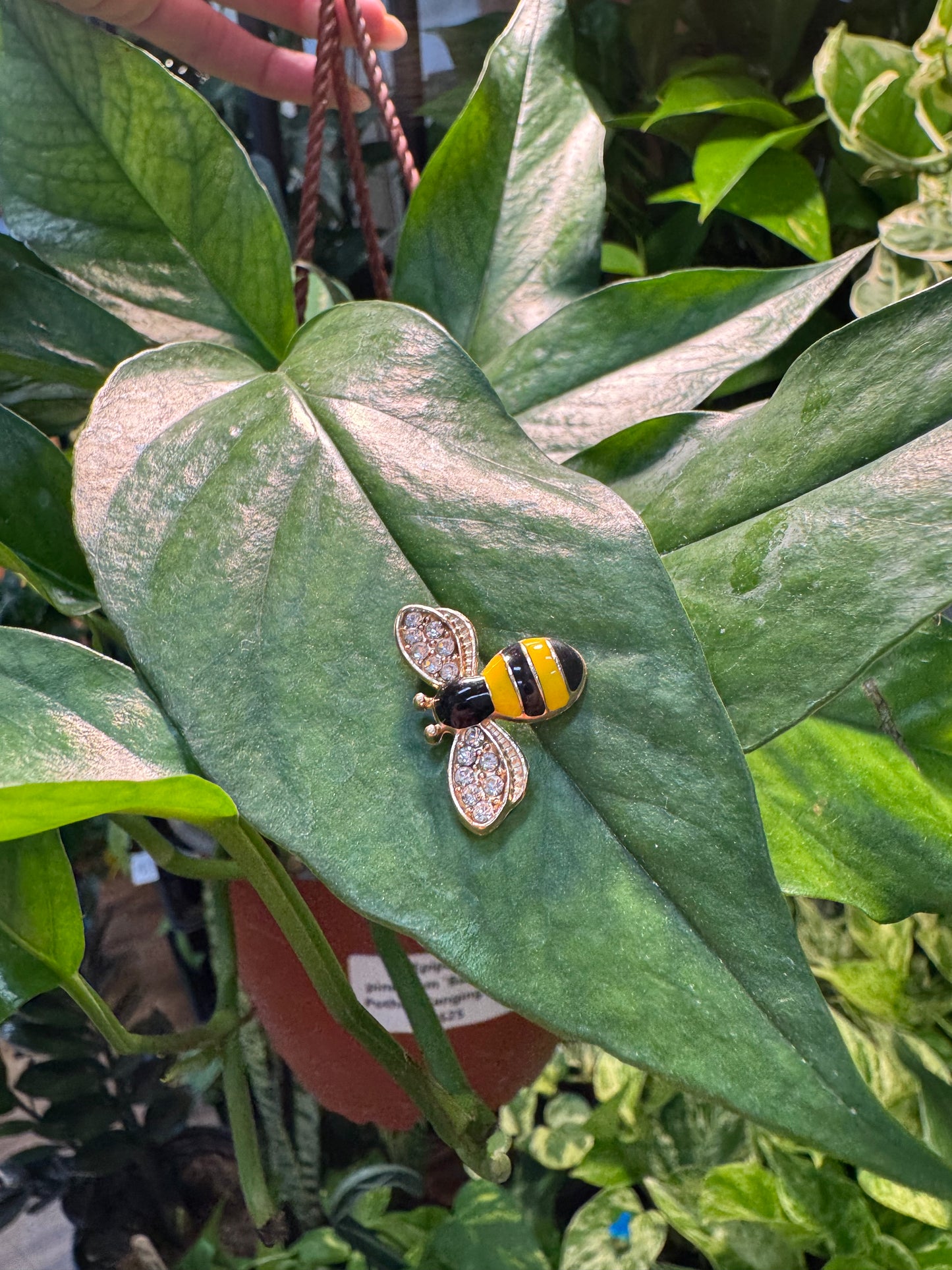 Fancy Rhinestone Bee Plant Magnet