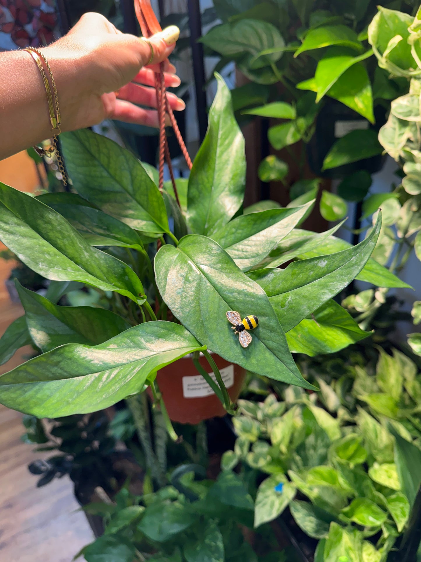 Fancy Rhinestone Bee Plant Magnet
