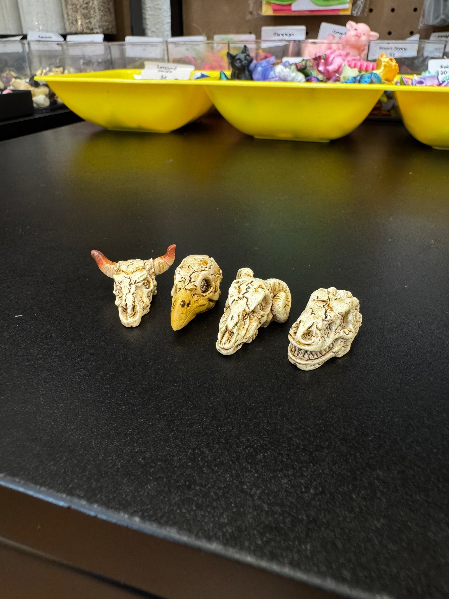 Animal Skull Trinket - Assorted