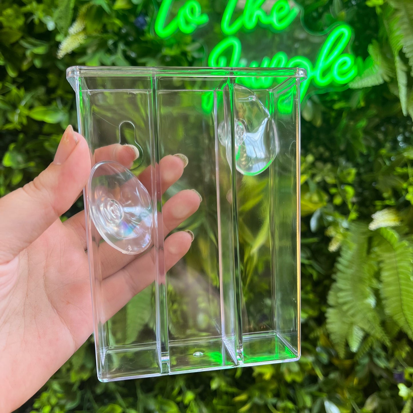 Acrylic Window Propagation Trio