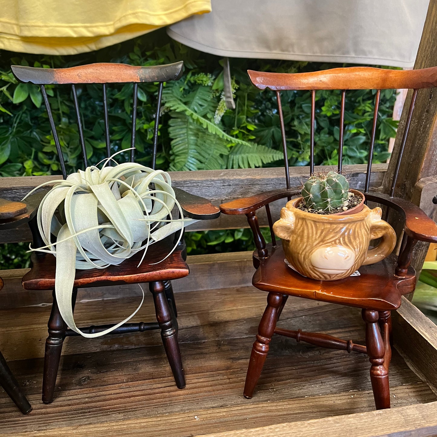 Miniature Wooden Chair Plant Stand