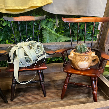 Miniature Wooden Chair Plant Stand