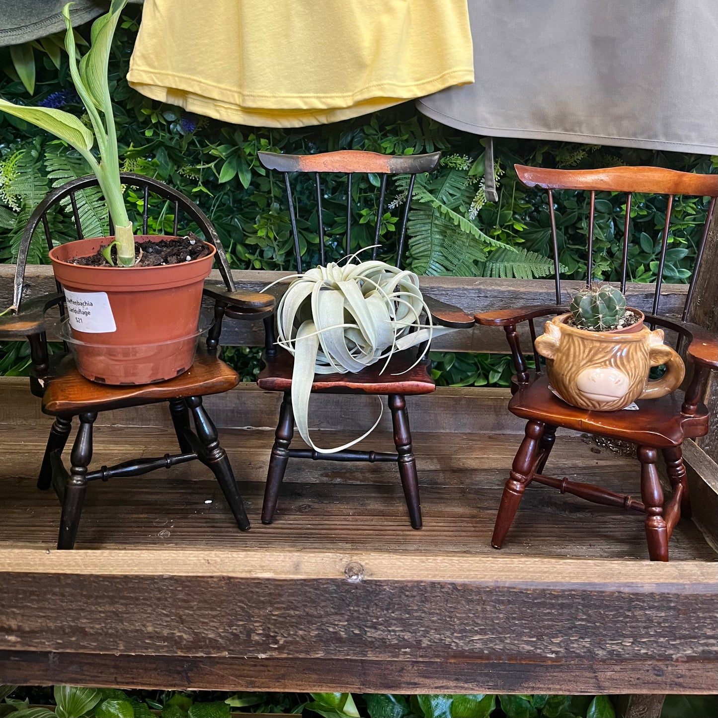 Miniature Wooden Chair Plant Stand
