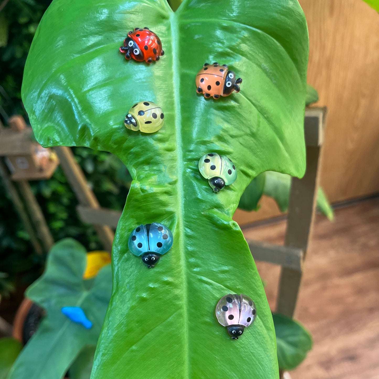 Rainbow Beetle Magnet