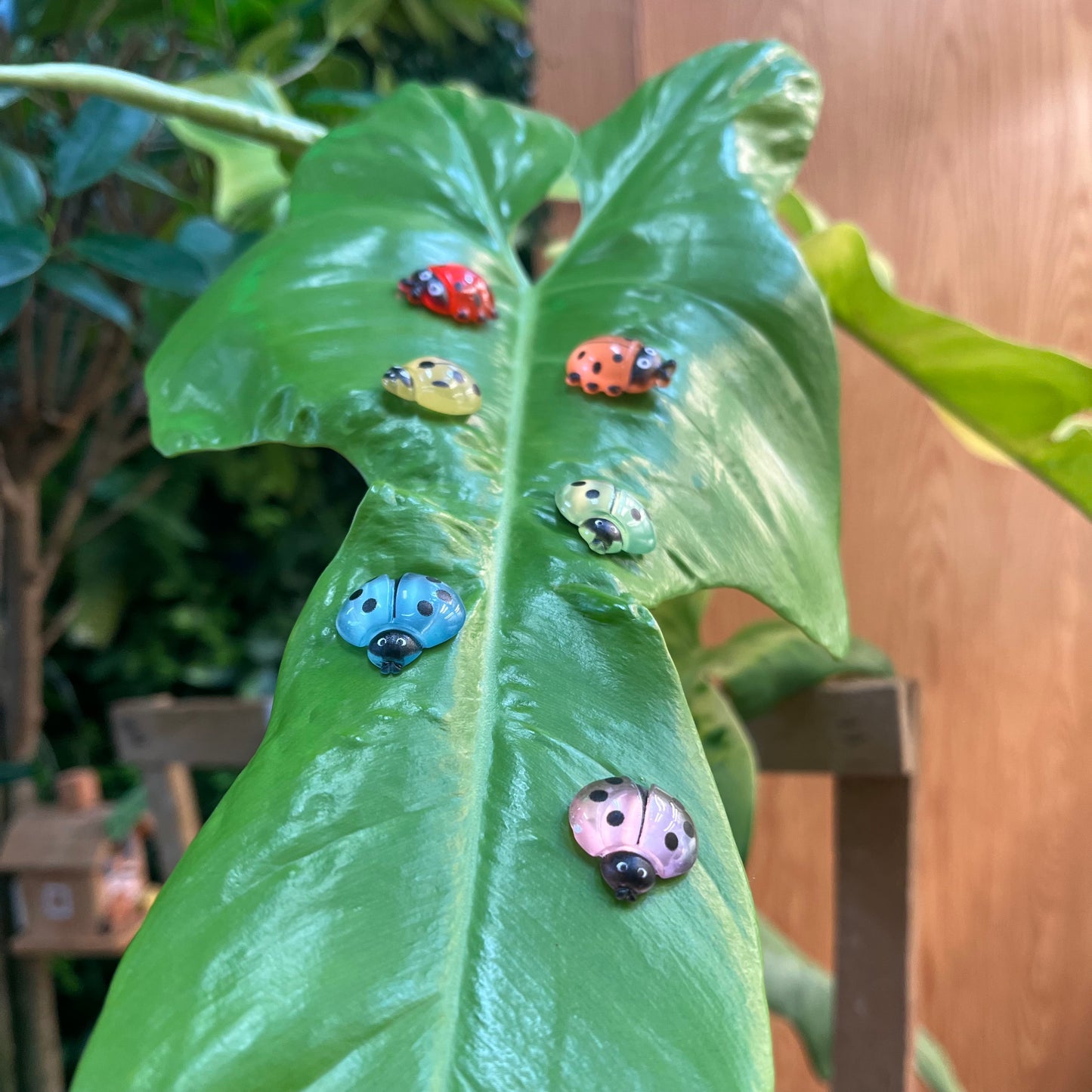 Rainbow Beetle Magnet